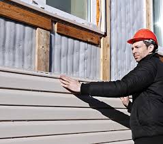 Best Historical Building Siding Restoration  in Potterville, MI